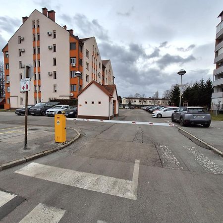 Apartma Golob Марибор Екстериор снимка